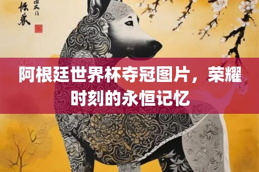 阿根廷世界杯夺冠图片，荣耀时刻的永恒记忆金炬实业股份有限公司