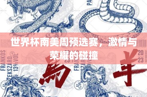 世界杯南美周预选赛，激情与荣耀的碰撞