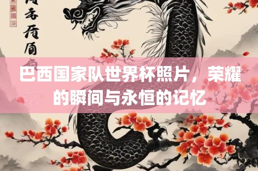 巴西国家队世界杯照片，荣耀的瞬间与永恒的记忆金炬实业股份有限公司