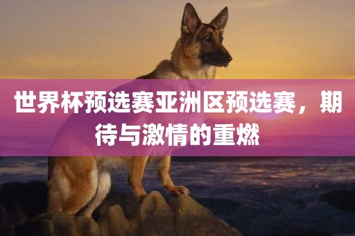 世界杯预选赛亚洲区预选赛，期待与激情的重燃