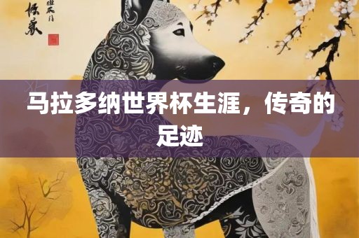 马拉多纳世界杯生涯，传奇的足迹