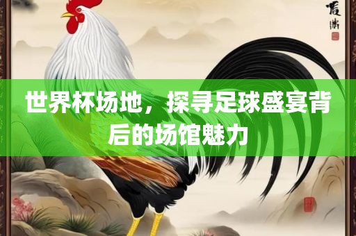 世界杯场地，探寻足球盛宴背后的场馆魅力金炬实业股份有限公司