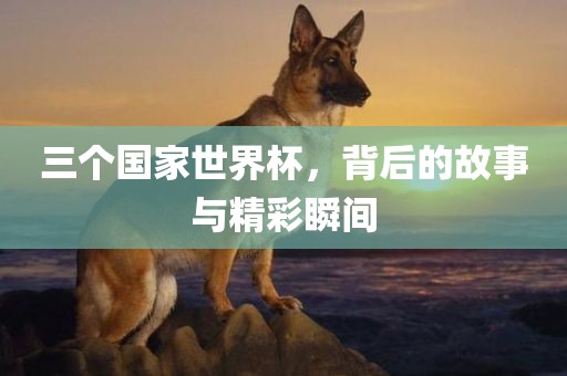 三个国家世界杯，背后的故事与精彩瞬间