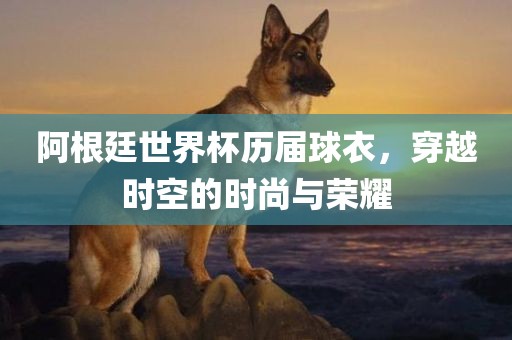 阿根廷世界杯历届球衣，穿越时空的时尚与荣耀金炬实业股份有限公司