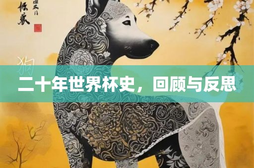 二十年世界杯史，回顾与反思