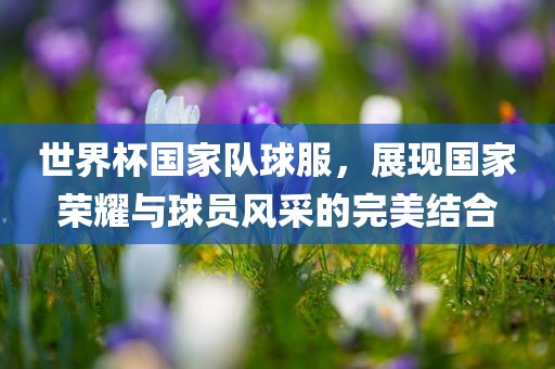 世金炬实业股份有限公司界杯国家队球服，展现国家荣耀与球员风采的完美结合