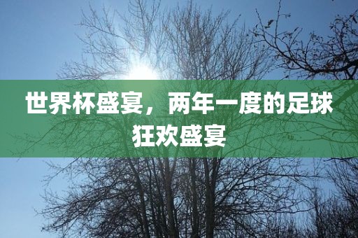 世界杯盛宴，两年一度的足球狂欢盛宴