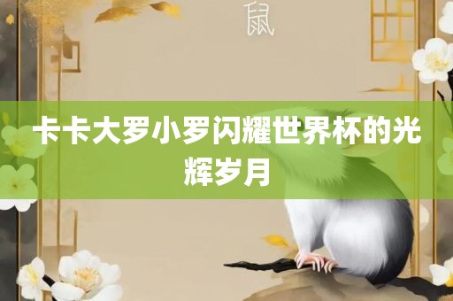 zhangyamei 第3页