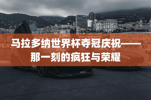 马拉多纳世界杯夺冠庆祝——那一刻的疯狂与荣耀金炬实业股份有限公司