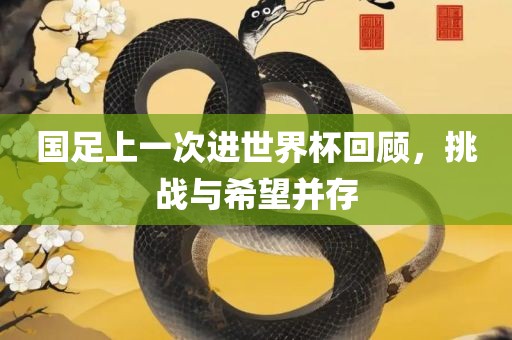 国足上一次进世界杯回顾，挑战与希望并存
