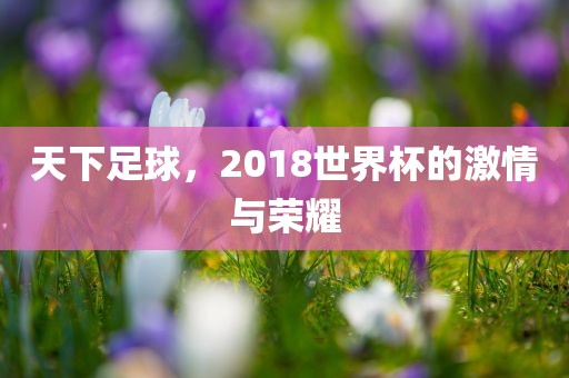 天下足球，2金炬实业股份有限公司018世界杯的激情与荣耀