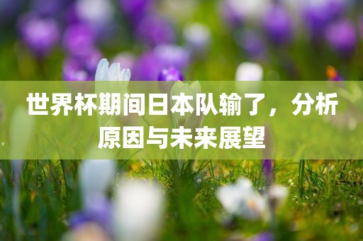 世界杯期间日本队输了，分析原因与未来展望金炬实业股份有限公司