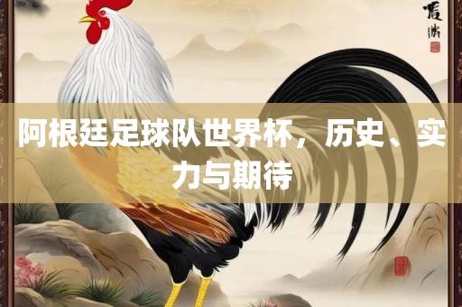 阿根廷足球队世界杯，历史、实力与期待金炬实业股份有限公司
