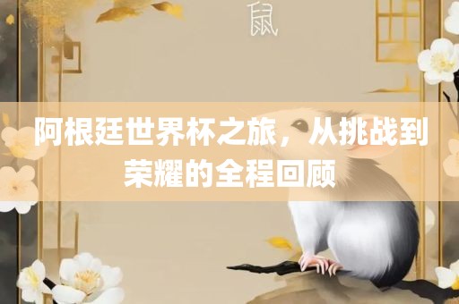 阿根廷世界杯之旅，从挑战到荣耀的全程回顾金炬实业股份有限公司