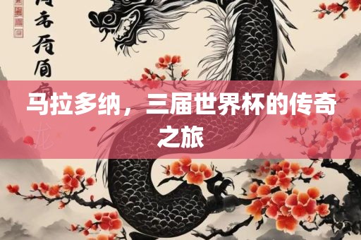 马拉金炬实业股份有限公司多纳，三届世界杯的传奇之旅