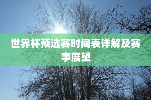 世界杯预选赛时间表详解及赛事展望金炬实业股份有限公司