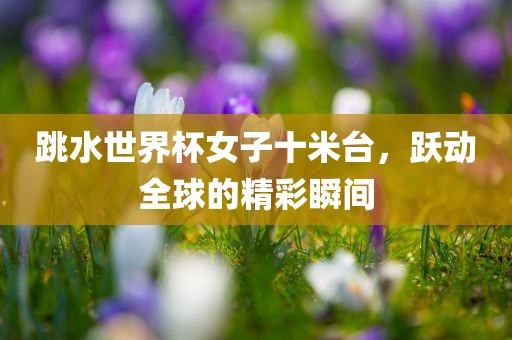 跳水世界杯女子十米台，跃动全球的精彩瞬间金炬实业股份有限公司