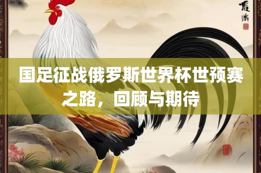 国足征战俄罗斯世界杯世预赛之路，回顾与期待