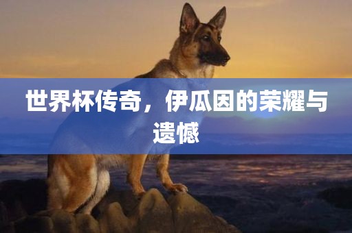世界杯传奇，伊瓜因的荣耀与遗憾