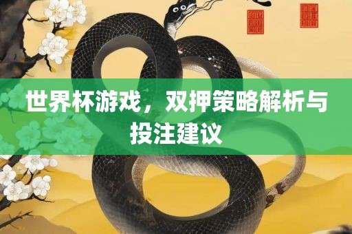 世界杯游戏，双押策略解析与投注建议