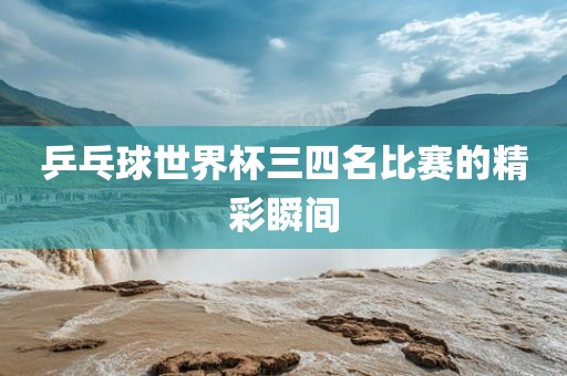 乒乓球世界杯三四名比赛的精彩瞬间