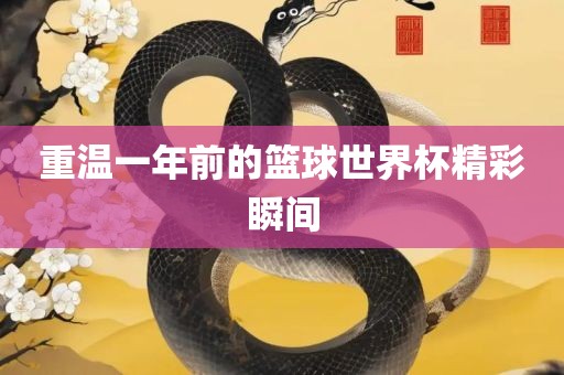 重温一年前的篮球世界杯精彩瞬间