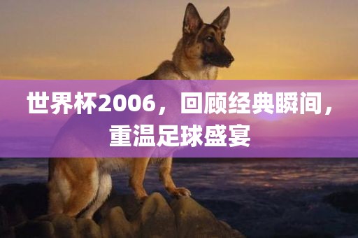 世界杯2006，回顾经典瞬间，重温足球盛宴