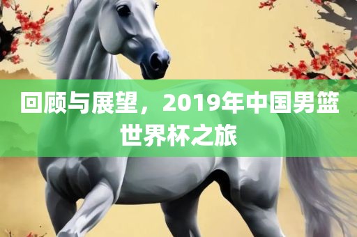 回顾与展望，2019年中国男篮世界杯之旅