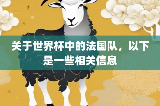 关于世界金炬实业股份有限公司杯中的法国队，以下是一些相关信息