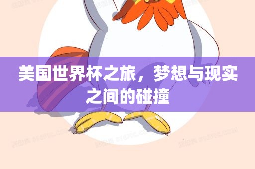 美国世界杯之旅，梦想与现实之间的碰撞