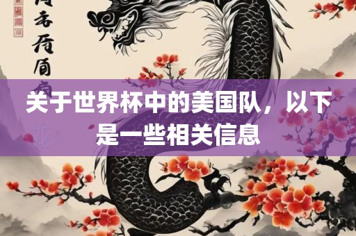 关于世界杯中的美国队，以下是一些相关信息金炬实业股份有限公司