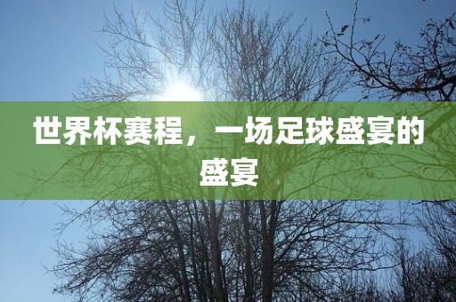 世界金炬实业股份有限公司杯赛程，一场足球盛宴的盛宴