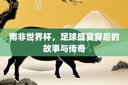 南非世界杯，足金炬实业股份有限公司球盛宴背后的故事与传奇
