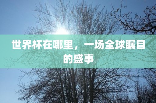 世界杯在哪里，一场全球瞩目的盛事