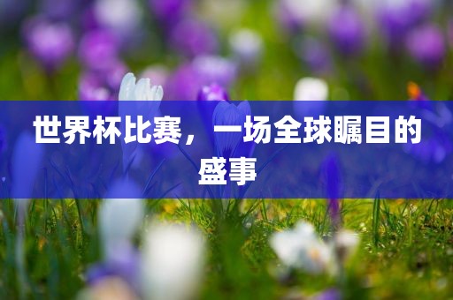 世界杯比赛，一场全球瞩目的盛事