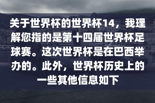 世界杯足球赛 第3页