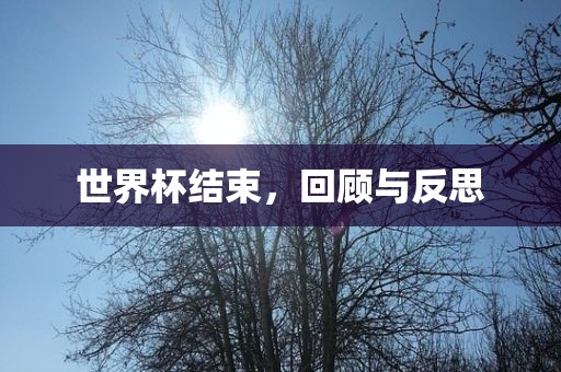 世界杯结束，回顾与反思