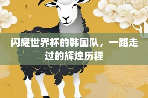 闪耀世界杯的韩国队，一路走过的辉煌历程