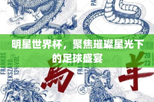 明星世界杯，聚焦璀璨星光下的足球盛宴金炬实业股份有限公司