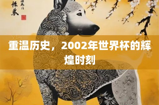 重温历史，2002年世界杯的辉煌时刻