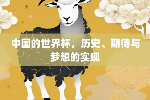 中国的世界杯，历史、期待与梦想的实现金炬实业股份有限公司