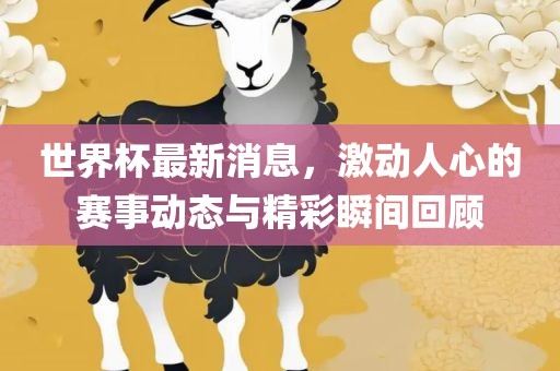 世界金炬实业股份有限公司杯最新消息，激动人心的赛事动态与精彩瞬间回顾