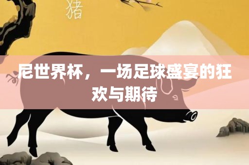 尼世界杯，一场足球盛金炬实业股份有限公司宴的狂欢与期待