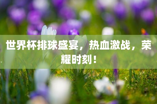 世界杯排球盛宴，热血激战，荣耀时刻！