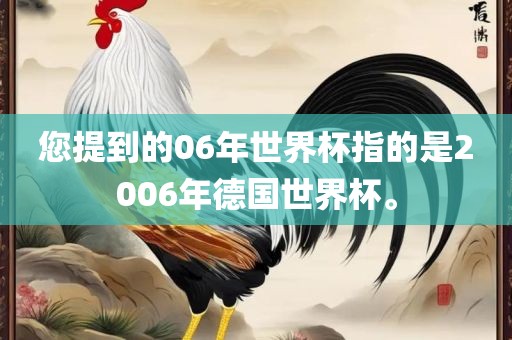 您提到的06年世界杯指的是2006年德国世界杯。