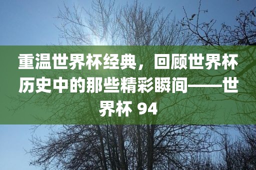 重温世界杯经典，回顾世界杯历史中的那些精彩瞬间——世界杯 94金炬实业股份有限公司