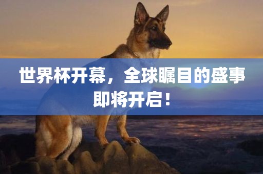 世界杯开幕，全球瞩目的盛事即将开启！