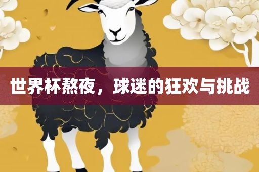 世界杯熬夜，球迷的狂欢与挑战