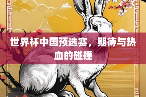 世界杯中国预选赛，期待与热血的碰撞金炬实业股份有限公司