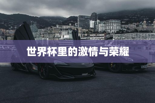 世界杯里的激情与荣耀金炬实业股份有限公司